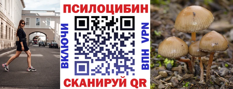 мега   Тетюши  Псилоцибиновые грибы прущие грибы 